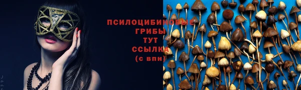 амф Армянск