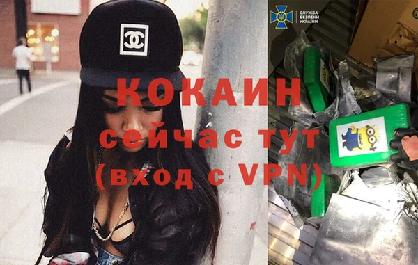 2c-b Алзамай