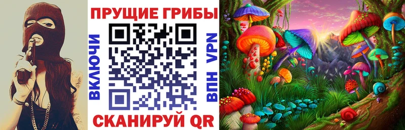 Псилоцибиновые грибы мицелий  Валдай 